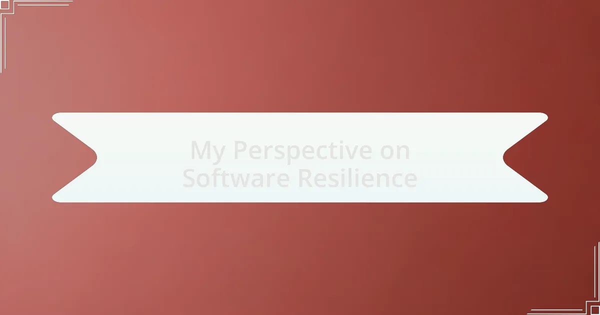 My Perspective on Software Resilience